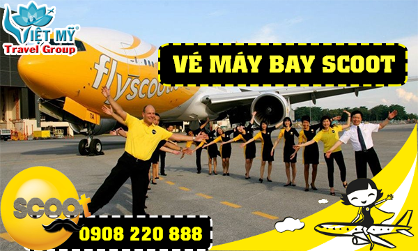 ve may bay scoot